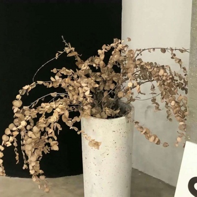 兽设表情绘制技巧福瑞群